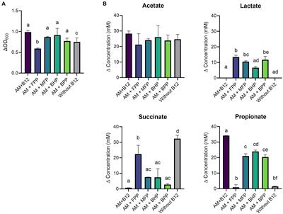Vitamin B12 analogues from gut microbes and diet differentially impact commensal propionate producers of the human gut